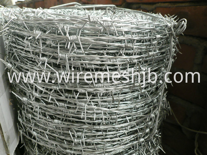 Barbed Iron Wire